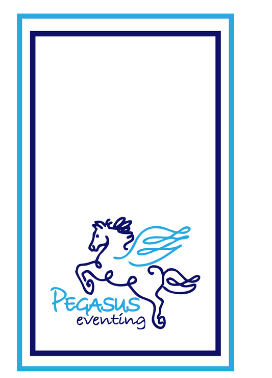 Pegasus Eventing Halter Guard